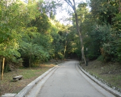 אחת מדרכי הפארק המטופח באחוזת מון רפוס